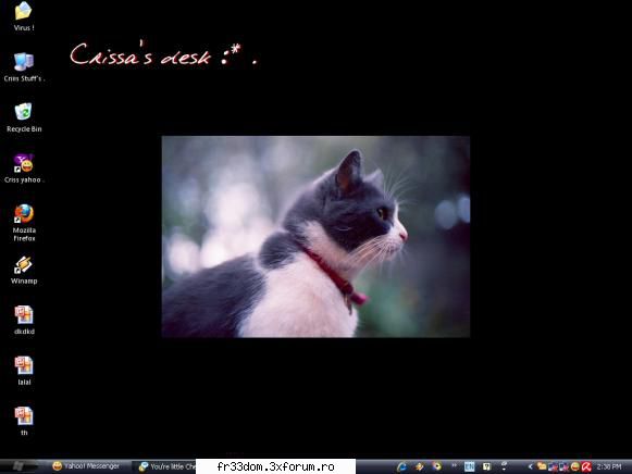 Desktop - Bau bau bauuu ;3 - Cafenea