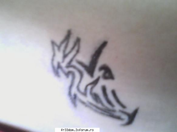 Made by me - Acum...tatuajul meu.Nu l-am facut eu,dar ideea - Creatii plastice