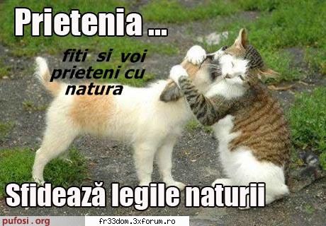 Note pentru poze - ionela - Jocuri