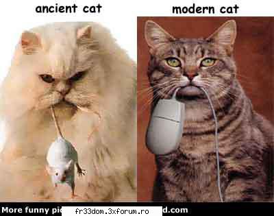 Note pentru poze - maddy - Jocuri