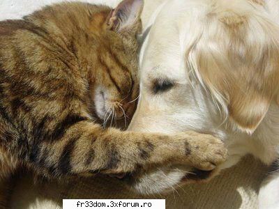 Note pentru poze - maddy - Jocuri