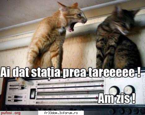 Note pentru poze - ionela - Jocuri