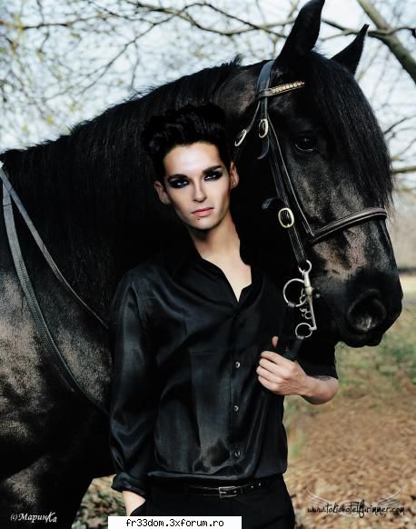 Phantom rider/ Geisterfahrer - Gas and blood Is all I've got In you I trust The - Versuri