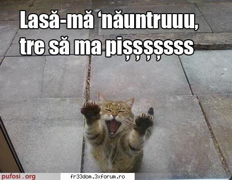 Poze amuzante - Nyan -fucking- Kat! - Diverse poze