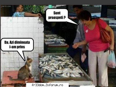 Poze amuzante - ionela - Diverse poze