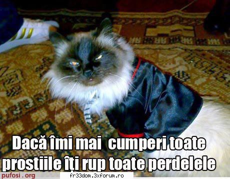Poze cu animale - ionela - Diverse poze