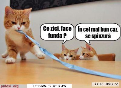 Poze cu animale - ionela - Diverse poze