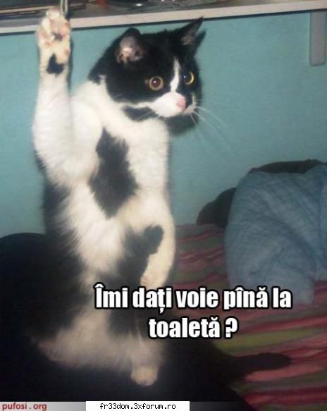 Poze cu animale - ionela - Diverse poze