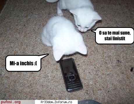Poze cu animale - ionela - Diverse poze