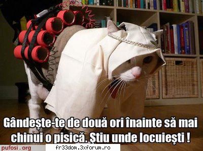 Poze cu animale - ionela - Diverse poze