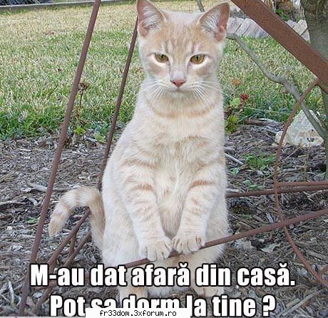 Poze cu animale - ionela - Diverse poze