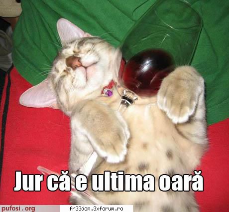 Poze cu animale - ionela - Diverse poze