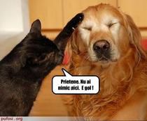 Poze cu animale - ionela - Diverse poze